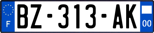 BZ-313-AK