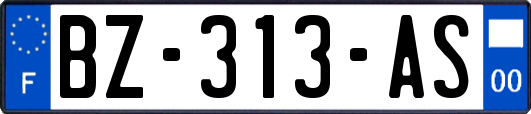 BZ-313-AS