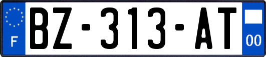 BZ-313-AT