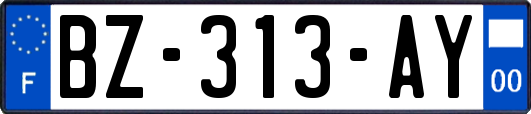 BZ-313-AY