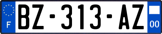 BZ-313-AZ