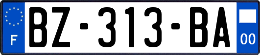 BZ-313-BA