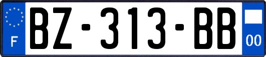 BZ-313-BB