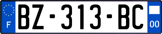 BZ-313-BC