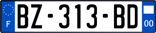 BZ-313-BD