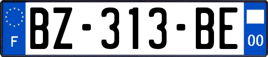 BZ-313-BE