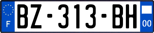 BZ-313-BH