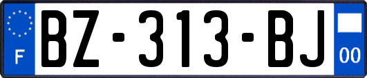 BZ-313-BJ