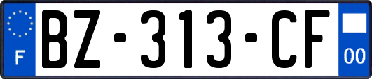 BZ-313-CF