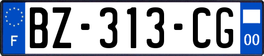 BZ-313-CG