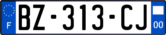 BZ-313-CJ