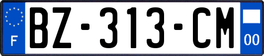 BZ-313-CM