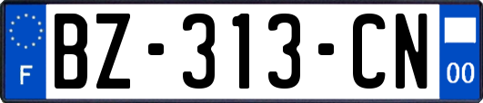 BZ-313-CN