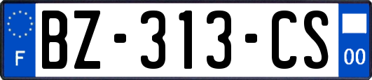 BZ-313-CS