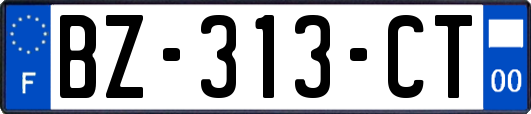 BZ-313-CT