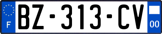 BZ-313-CV