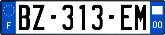 BZ-313-EM