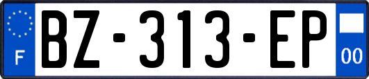 BZ-313-EP