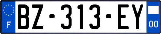 BZ-313-EY