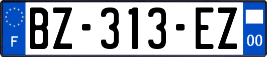 BZ-313-EZ