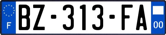 BZ-313-FA