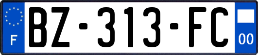 BZ-313-FC