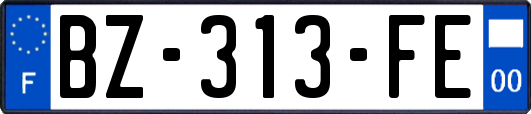 BZ-313-FE
