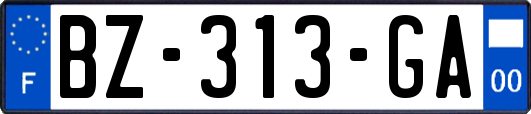 BZ-313-GA