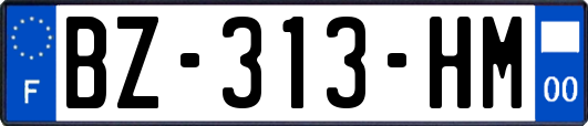 BZ-313-HM