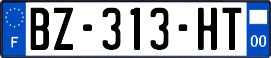 BZ-313-HT