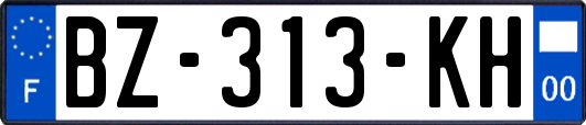 BZ-313-KH