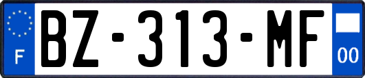 BZ-313-MF