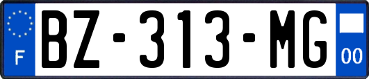 BZ-313-MG