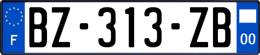 BZ-313-ZB