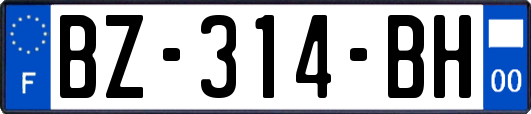 BZ-314-BH