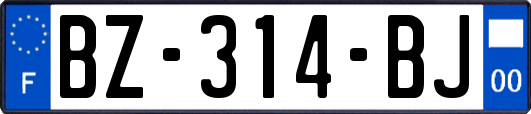 BZ-314-BJ