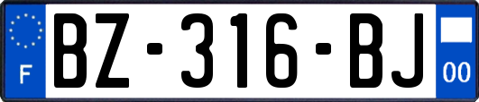 BZ-316-BJ