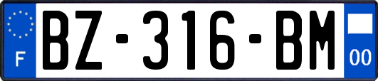 BZ-316-BM