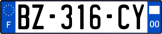 BZ-316-CY