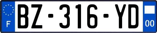 BZ-316-YD