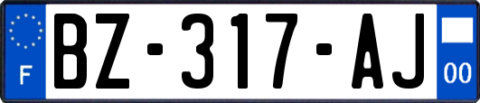 BZ-317-AJ