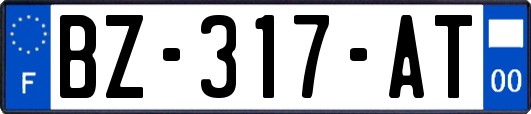 BZ-317-AT