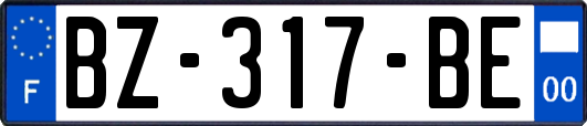 BZ-317-BE