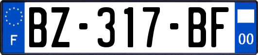 BZ-317-BF