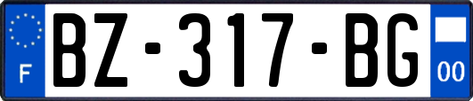 BZ-317-BG