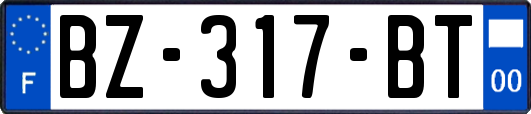 BZ-317-BT