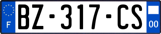 BZ-317-CS