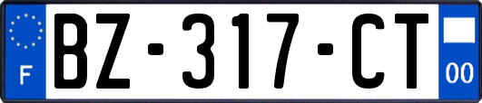 BZ-317-CT