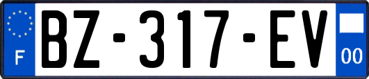 BZ-317-EV