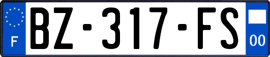 BZ-317-FS